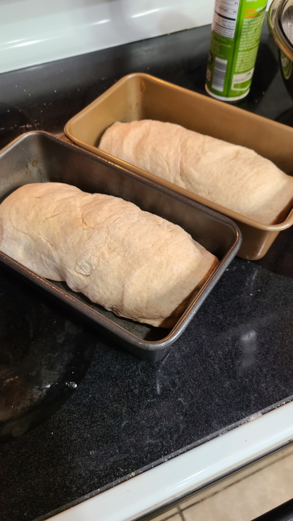 Two bread pans with unbaked bread loaves inside