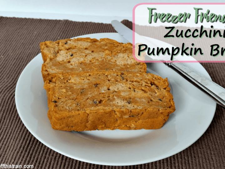 Freezer Friendly Pumpkin Zucchini Bread No Getting Off This Train