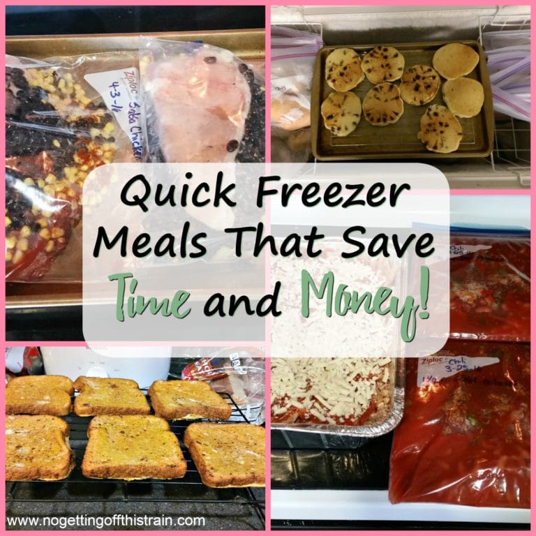 Quick Freezer Meals to Save Time AND Money!