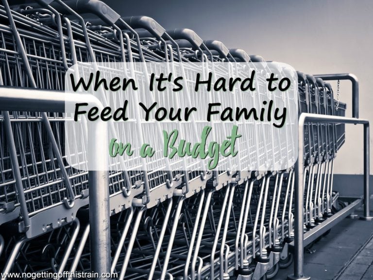 When It's Hard to Feed Your Family on a Budget