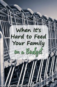 When It's Hard to Feed Your Family on a Budget
