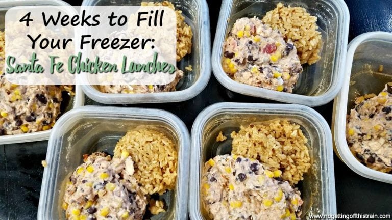 Santa Fe Chicken Frozen Lunches (4 Weeks to Fill Your Freezer Day 9)