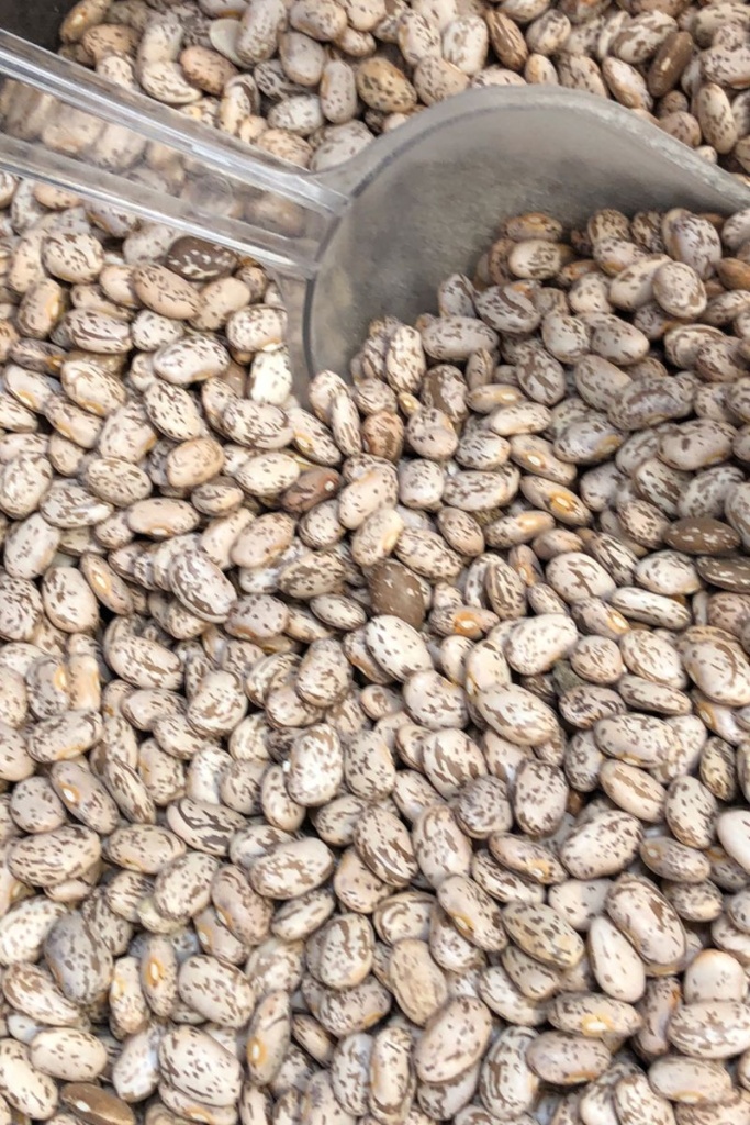 Dried pinto beans in a container