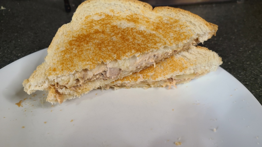 A tuna melt on a large plate