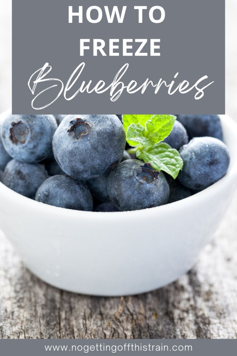 Easily Freeze Blueberries- a Step by Step Guide